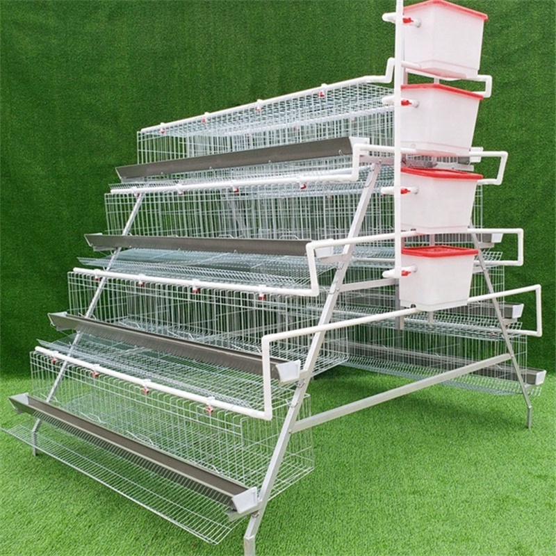 chicken laying cage galvanized automatic A type chicken cages layer poultry for farming