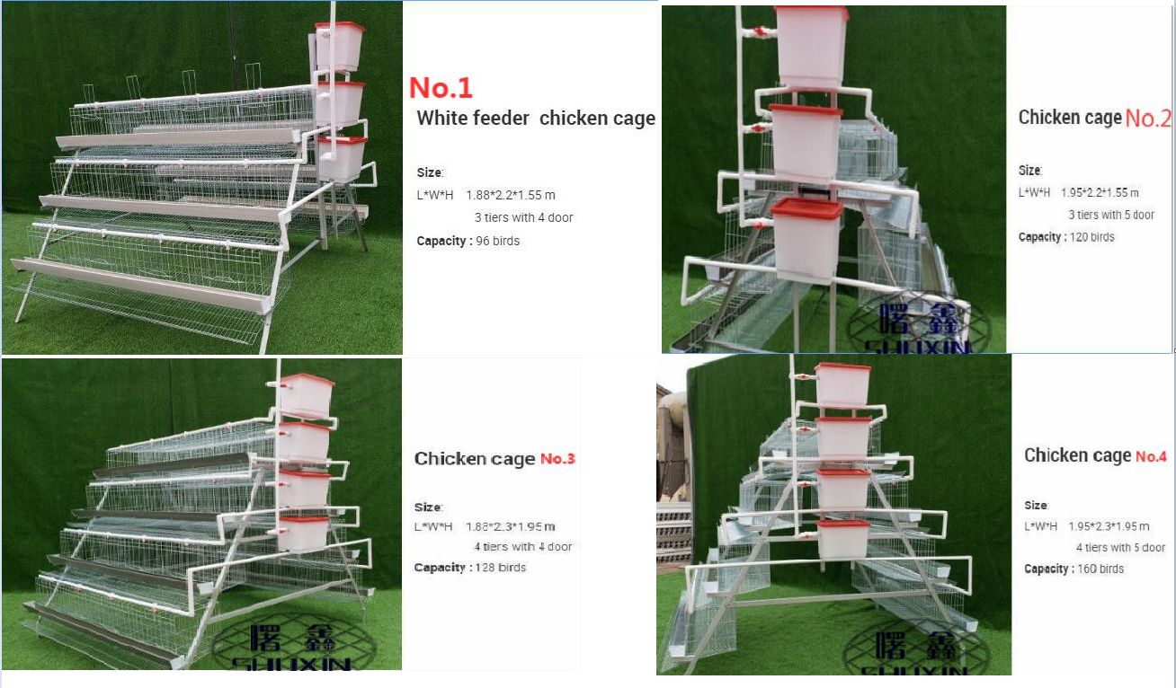 sri lanka A type poultry egg layer cage for chicken coops