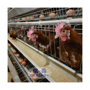 4 Tiers Chicken Eggs Cage Battery Galvanized Layer Cage Animal Cage For 1000 Chickens