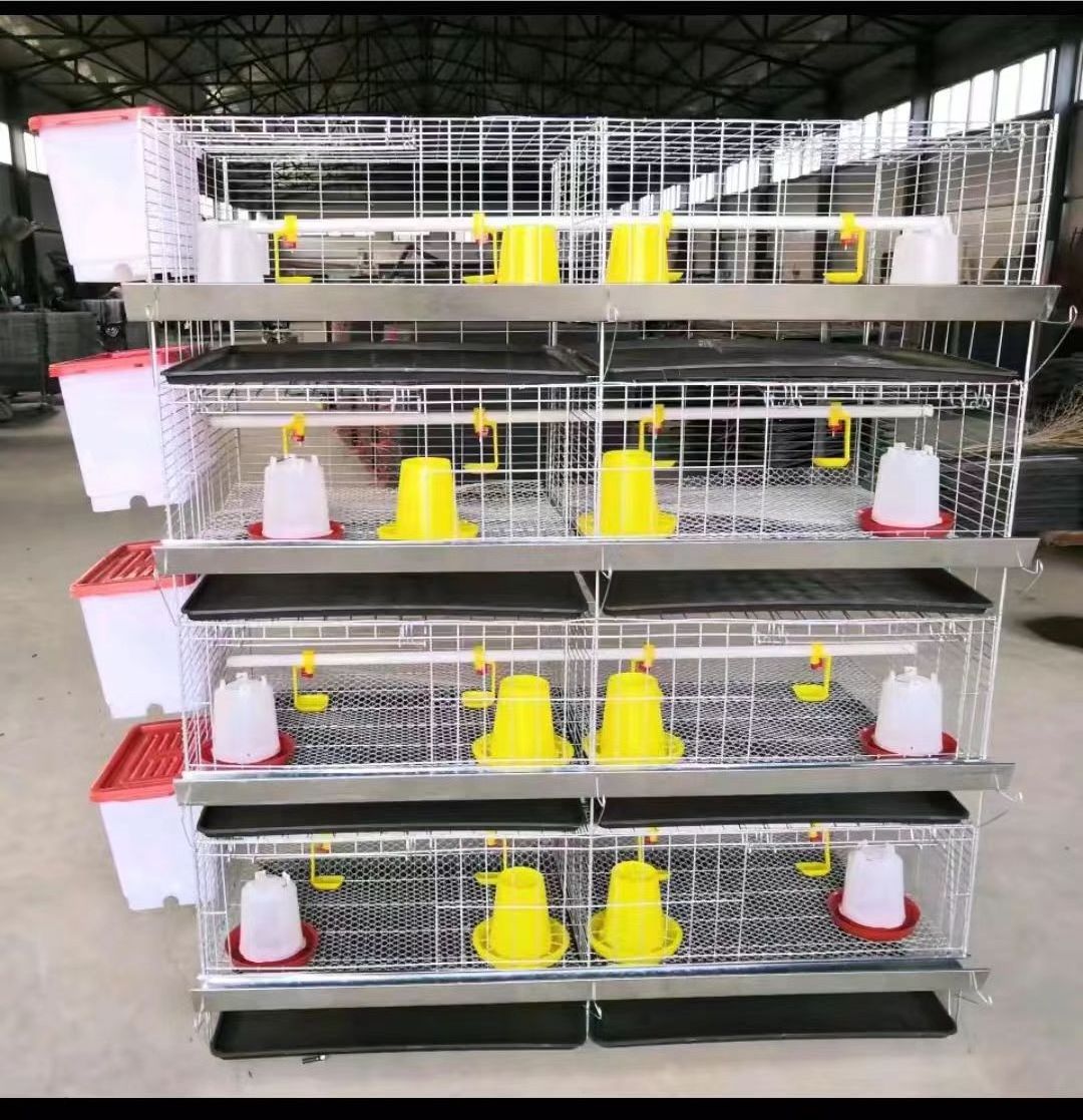 Baby Chicken Cage/ Brooder/ Day Old Layer Chick Cages