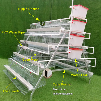 Type A Poultry Farm Egg Layer Battery Animal Cage Chicken Hens