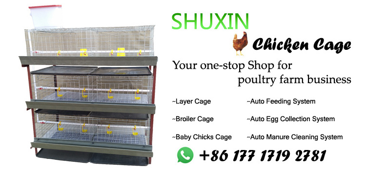 Broiler Poultry house  H Type Battery Broiler Chicken Cage for nigeria nipple drinker capacity 80 broilers