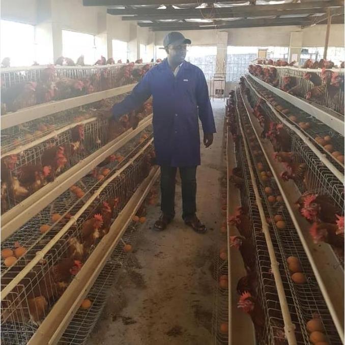 Egg laying hen battery layer cage for poultry farm