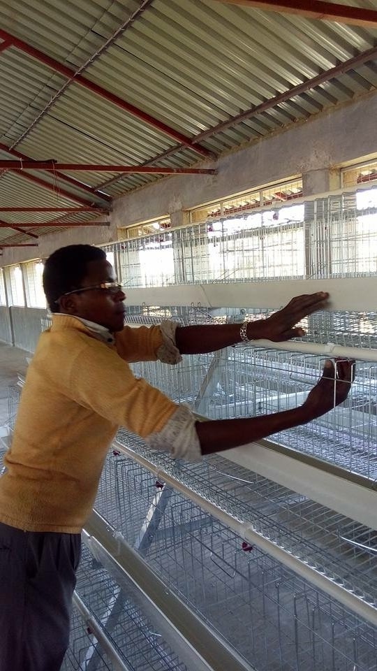 Chicken Cage Poultry Raising Equipment for Large Scale Poultry Farm cage