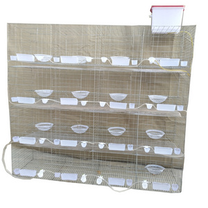 Shuxin New Type Steel Superior Fancy Pigeon Cages Racing Pigeon Breeding Cages For Sale