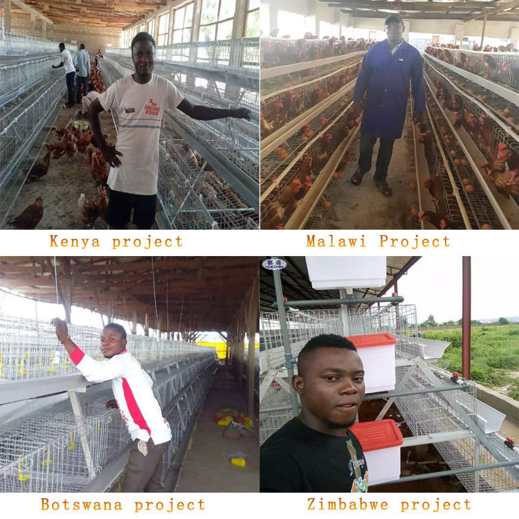 Poultry Farm Chicken Laying Cage Used Layer Battery Chicken Cage In Zambia