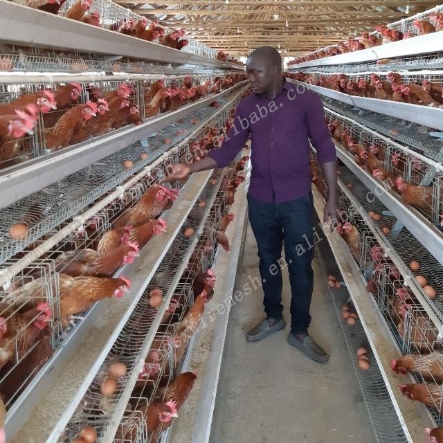 High Quality Used Andhra Pradesh Poultry Farm Battery Cage System Layer Chicken Cages For Sale