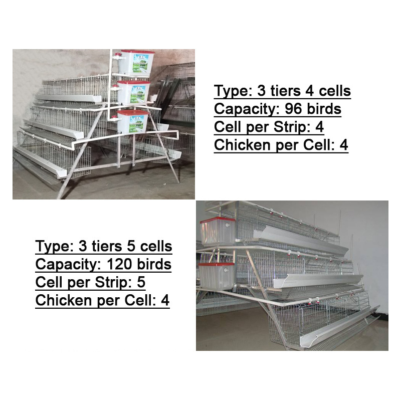 galvanized poultry farm animal cage layer farming equipment battery cage system egg chicken cage