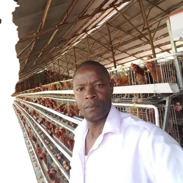 chicken layer cages chicken cages egg layer chicken cage for sale