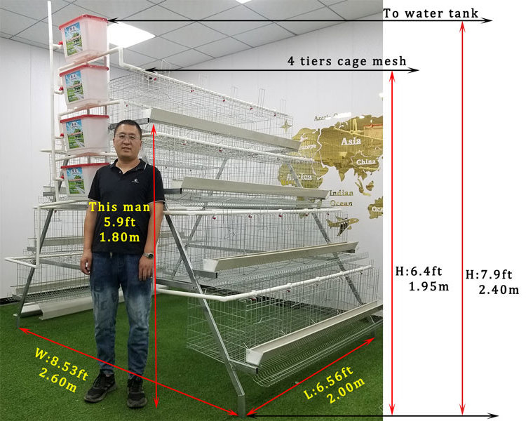 Type A Poultry Farm Egg Layer Battery Animal Cage Chicken Hens