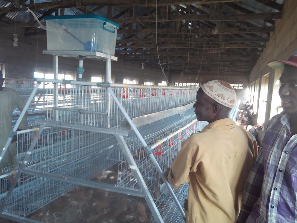 Factory Supply Automatic Poultry Cage Battery Chicken Layer Cage In Pakistan Uganda Farm For Sale