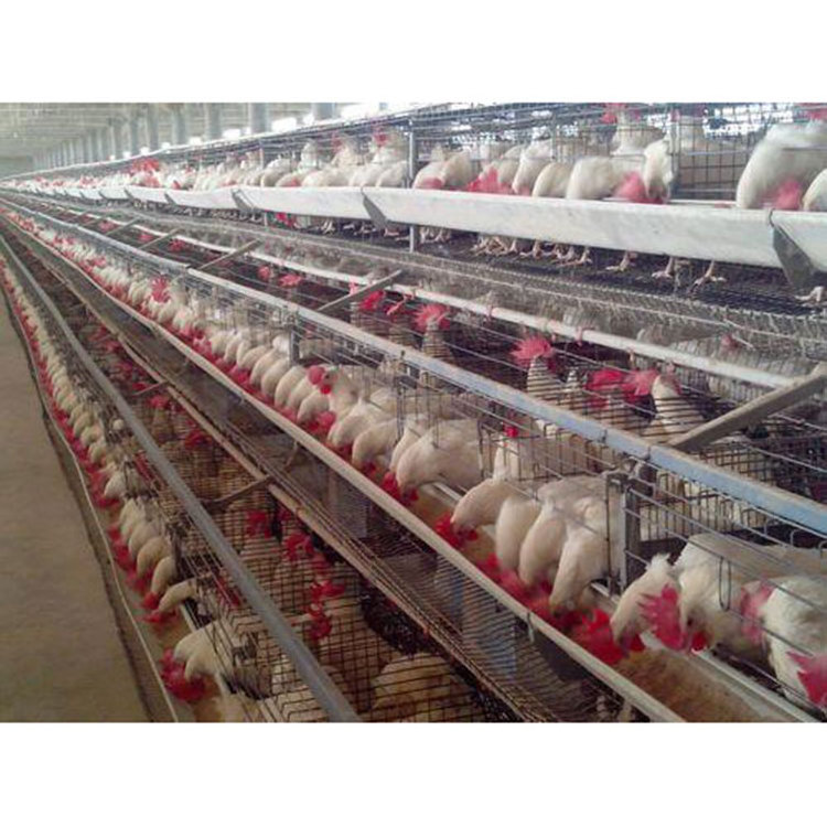 Battery Cages Laying Hens/Metal Chicken Coops For Sale/Chicken Cages Poultry Farming