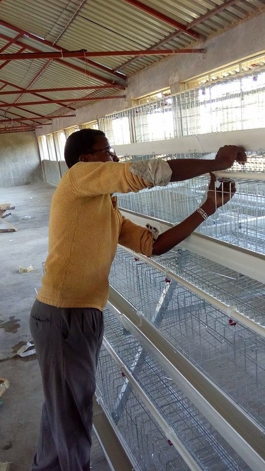 Chicken Cage Poultry Raising Equipment for Large Scale Poultry Farm cage