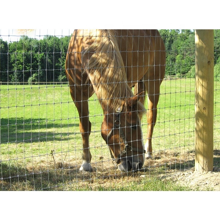 Factory direct sale hot-dip galvanized woven goat/sheep field fence