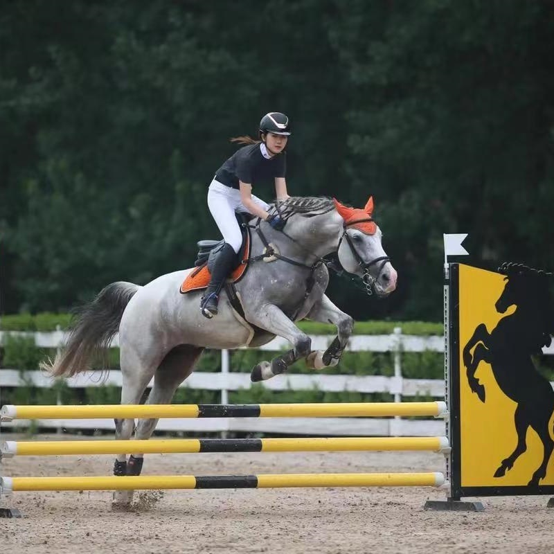 Horse Show Jumps Equestrian hurdle Equestrian competition obstacles Horse Jumping Obstacle