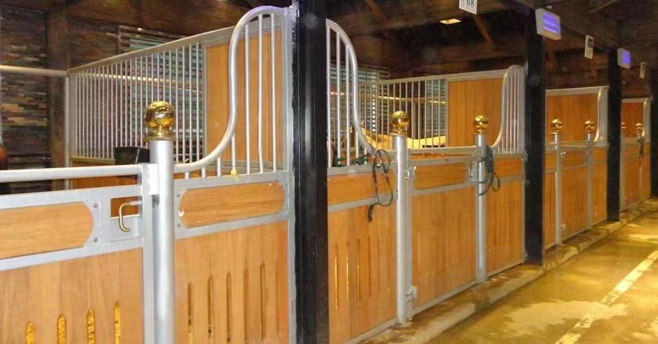 HDG Surface Equine Products horse box door equine stalls Horse Box Horse Stable with Hinged Door