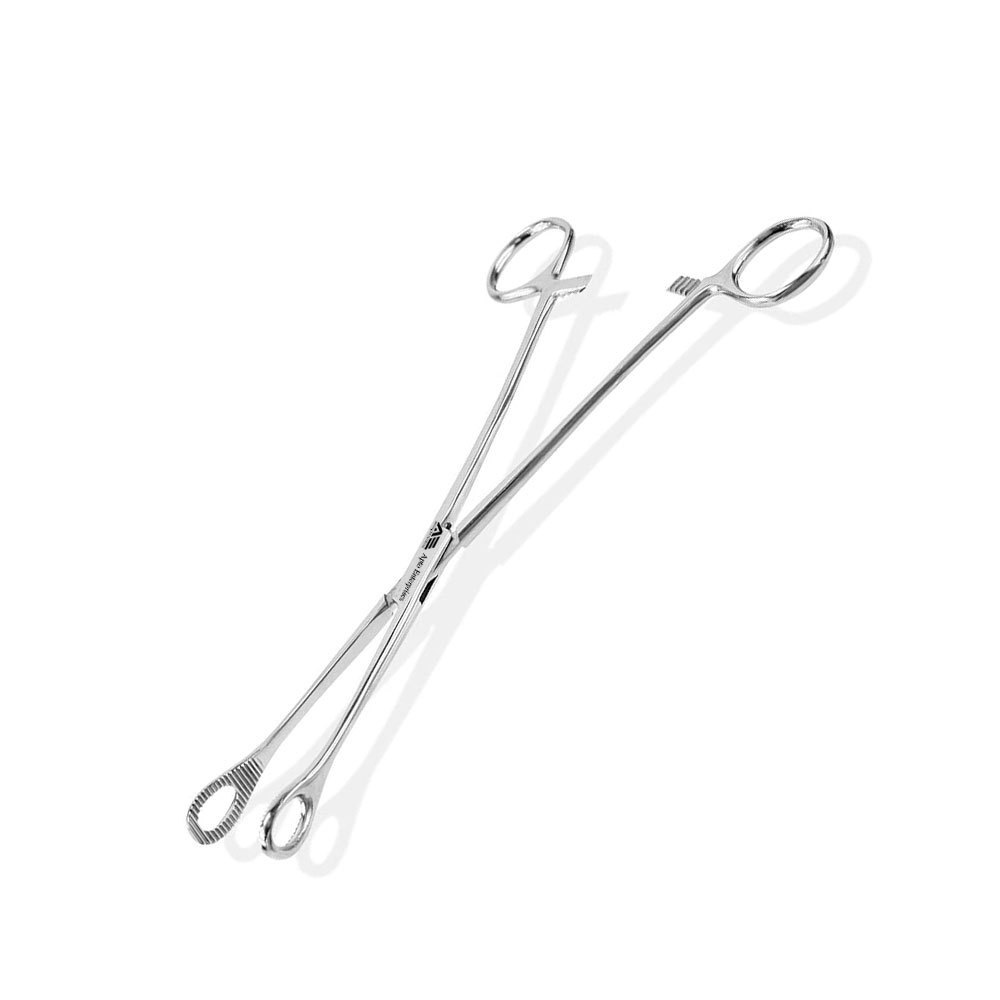 Stainless Steel Sponge Holding Forceps 9.5