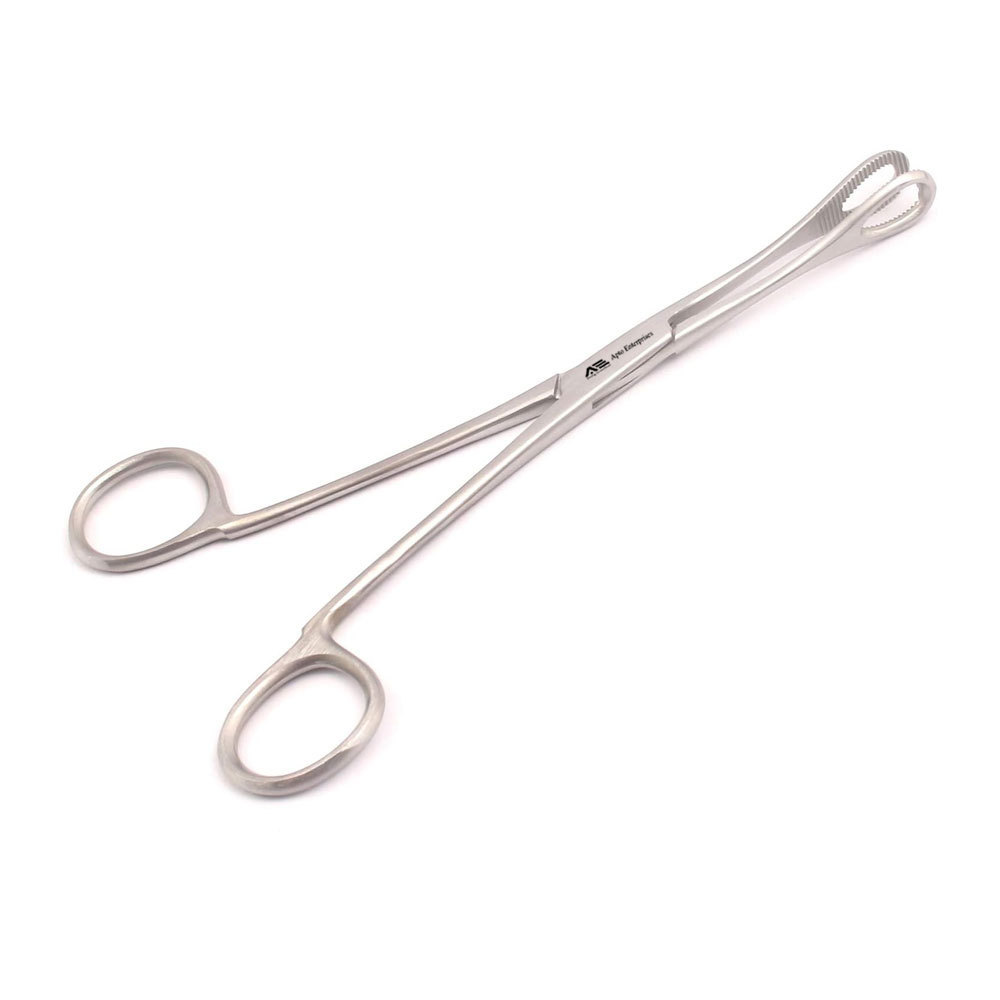 Stainless Steel Sponge Holding Forceps 9.5