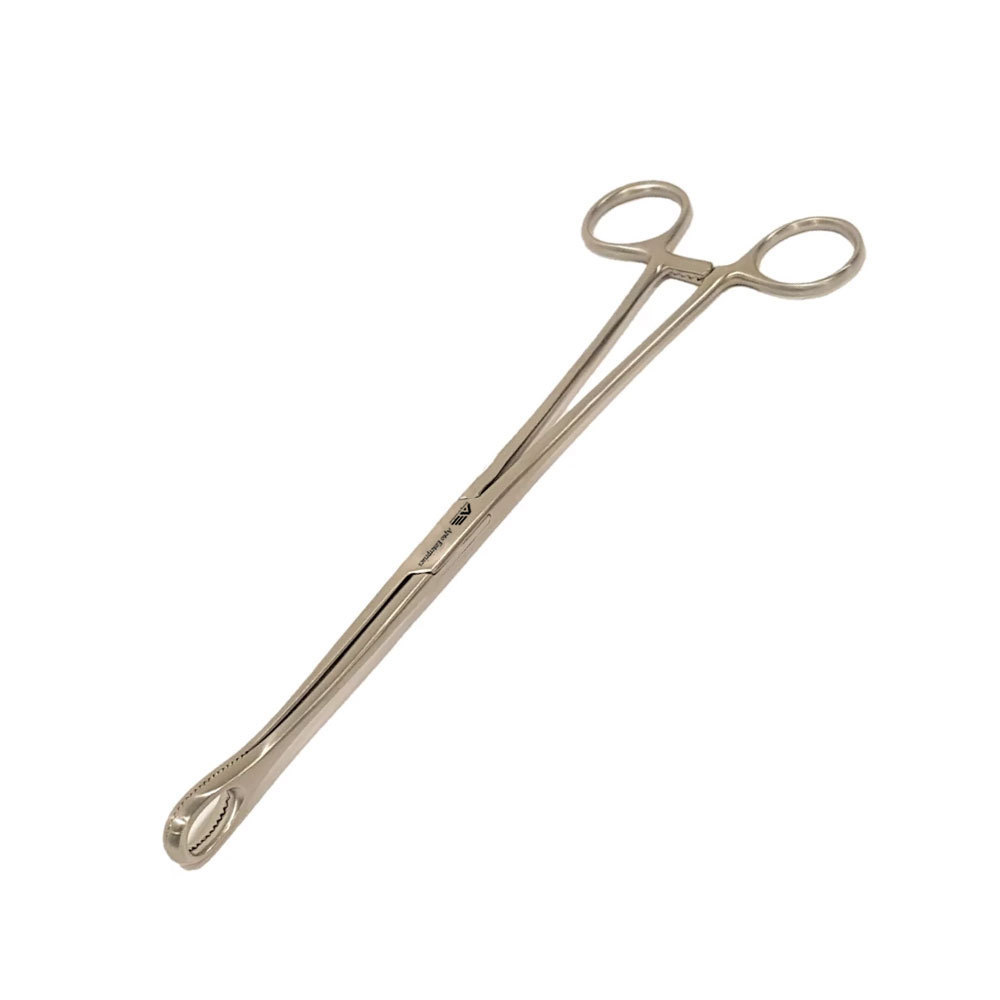 Stainless Steel Sponge Holding Forceps 9.5