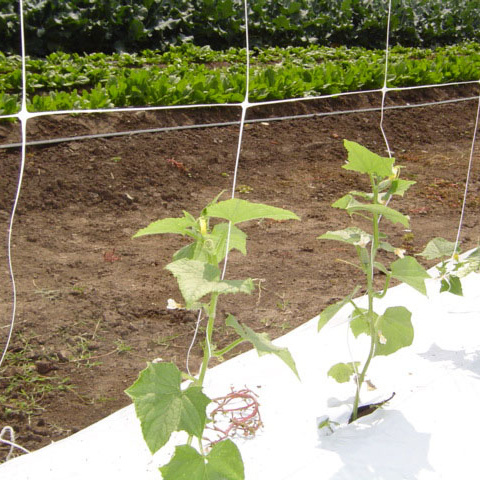 high quality PE material Agriculture Net or Gardening climbing Plant Support Net Garden Net