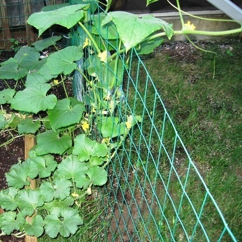 high quality PE material Agriculture Net or Gardening climbing Plant Support Net Garden Net