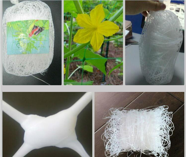 high quality PE material Agriculture Net or Gardening climbing Plant Support Net Garden Net