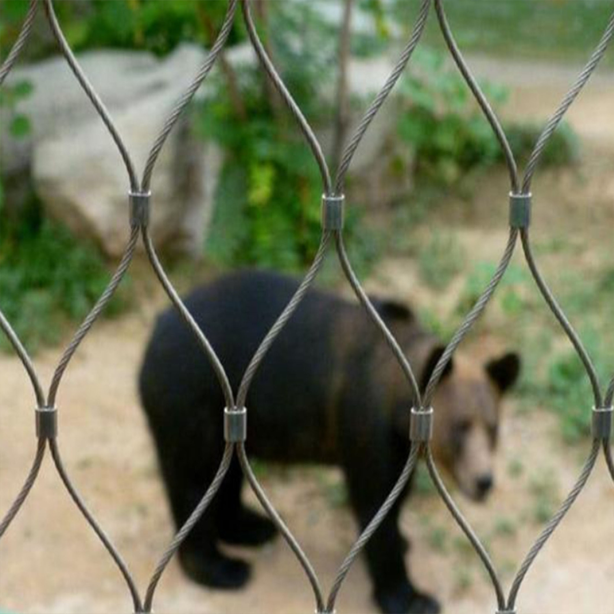 China supplier high quality stainless steel  cable zoo mesh black animals protection netting