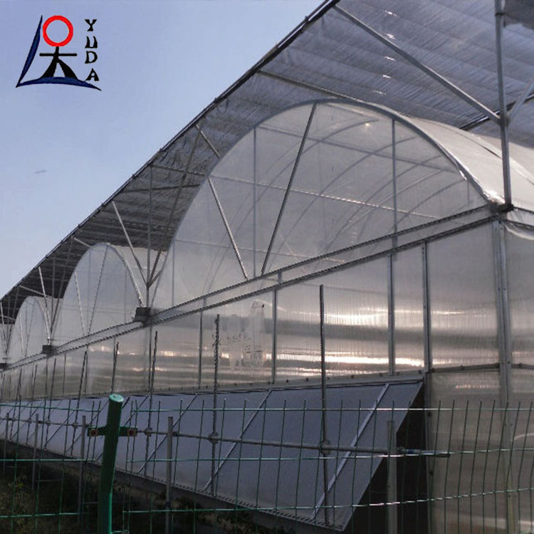 Agro shade net black & green shade net vegetable agricultural cultivation greenhouse net