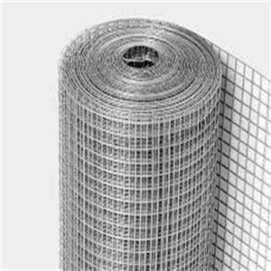 30m/roll Stainless steel/Galvanized corrosion resistance welded  wire mesh for farm