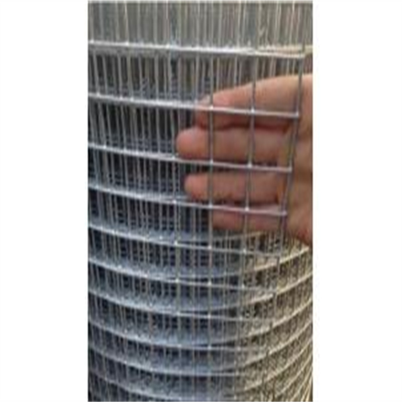 30m/roll Stainless steel/Galvanized corrosion resistance welded  wire mesh for farm