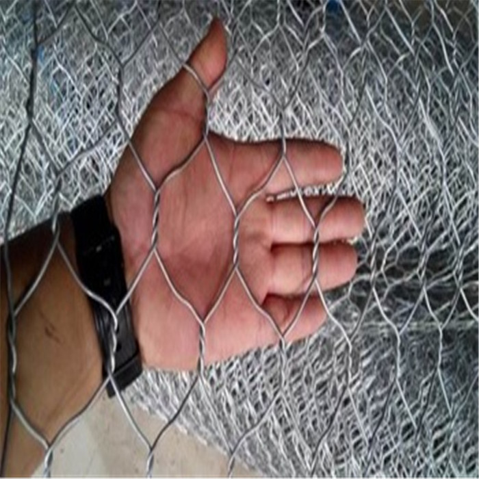 Electro Galvanized Diamond Hole Chicken Wire Mesh 1/2 Inch Hexagonal Netting