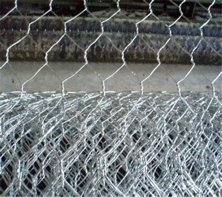 Galvanized Hexagonal Iron Wire Netting Chicken Wire Mesh Fence