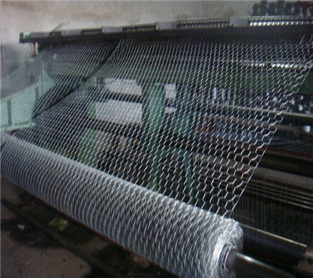 Galvanized Hexagonal Iron Wire Netting Chicken Wire Mesh Fence