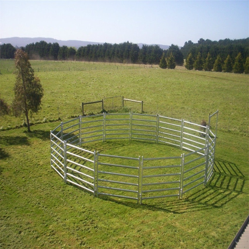 Cattle Yard Panel China Factory Supply Galvanized 12 ft Cattle Panels Livestock  Low Price  galvanized cattle panel trailer