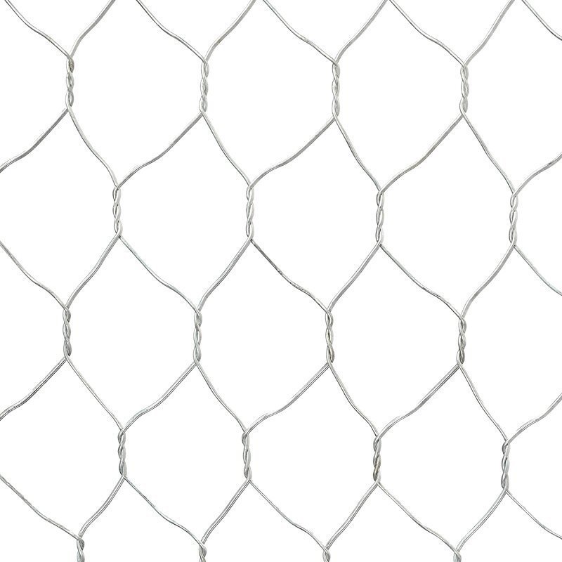 Hot Selling Hexagonal Wire Netting Pvc Coated Galvanized Fence Wire Mesh For Gabion/brick Wall