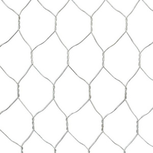 Hot Selling Hexagonal Wire Netting Pvc Coated Galvanized Fence Wire Mesh For Gabion/brick Wall