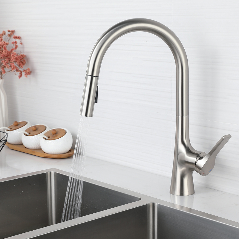 Modern Farmhouse RV Stainless Steel Kitchen Faucets with Pull Down Sprayer Llave de fregadero de cocina