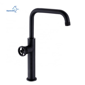 Aquacubic Single Hole Basin Faucet Deck Mounted Industrial Kitchen Vessel Sink Faucet with Etched handle