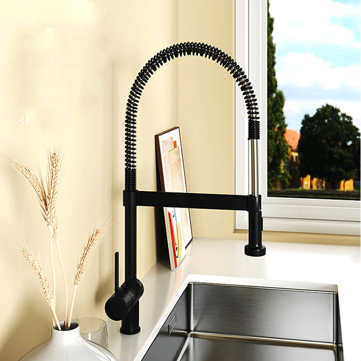 Spring Deign Kitchen Faucets with Pull Out Sprayer Kitchen Sink Faucet with Swivel Spout Pullout Kitchen Faucet