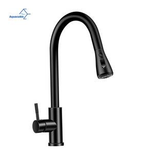 Commercial Black High Arc Modern RV Gooseneck Kitchen Sink Pull Down Faucet with Sprayer