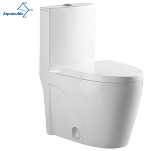 Aquacubic Hot Sale Lavatory One Piece Elongated WC Toilet Bowl