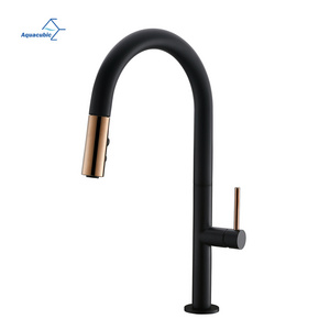 American Popular Hot and Cold Water Lead Free Brass Single Hole pull down Faucet kitchen