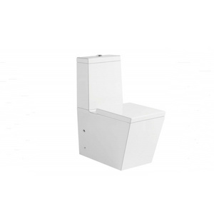 Floor Mount Types WC Ceramic One Piece Toilet Seat