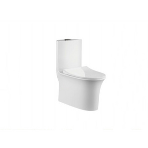 Modern Style Sanitary Ware Fancy Siphonic White Bathroom Ceramic One Piece Toilet Seat