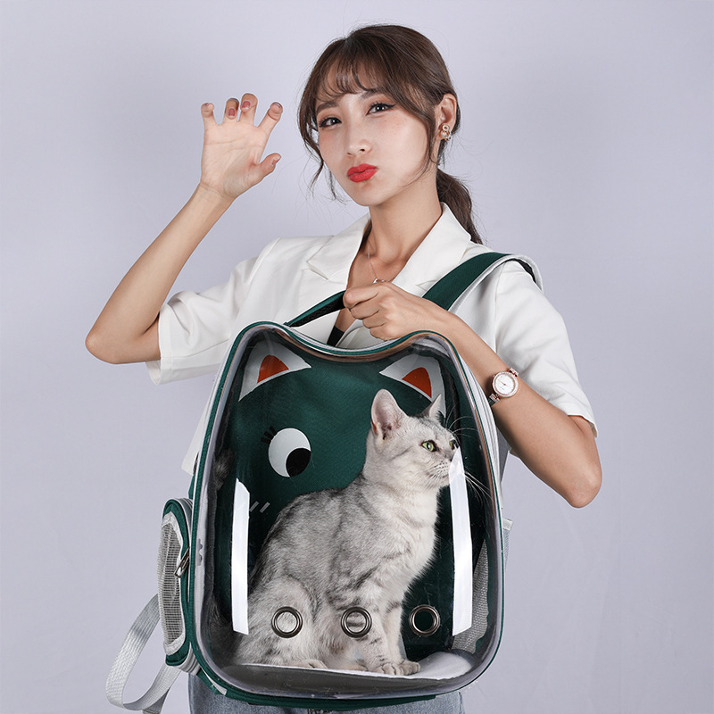 Transparent Bubble Bag Small Dog Backpack Carrier Space Capsule Pet Carrier for Hiking Travel