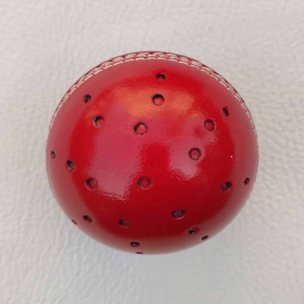 Coaching Swing Leather Cricket Ball