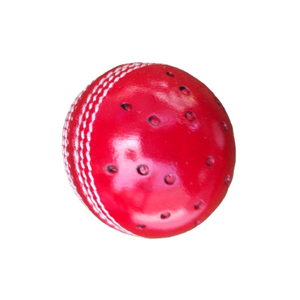 Coaching Swing Leather Cricket Ball