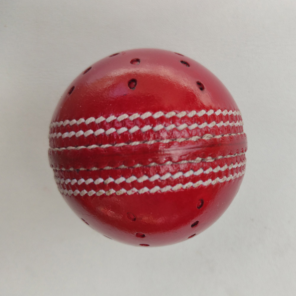 Coaching Swing Leather Cricket Ball