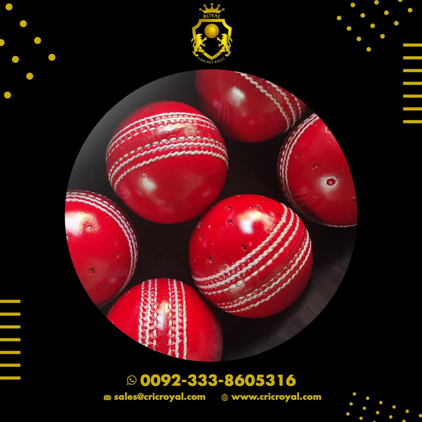 Swinger Cricket Ball for Training & Coaching