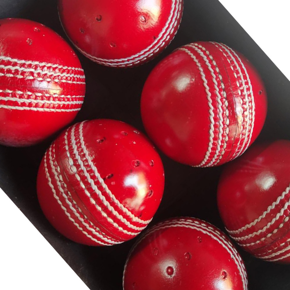 Swinger Cricket Ball for Training & Coaching